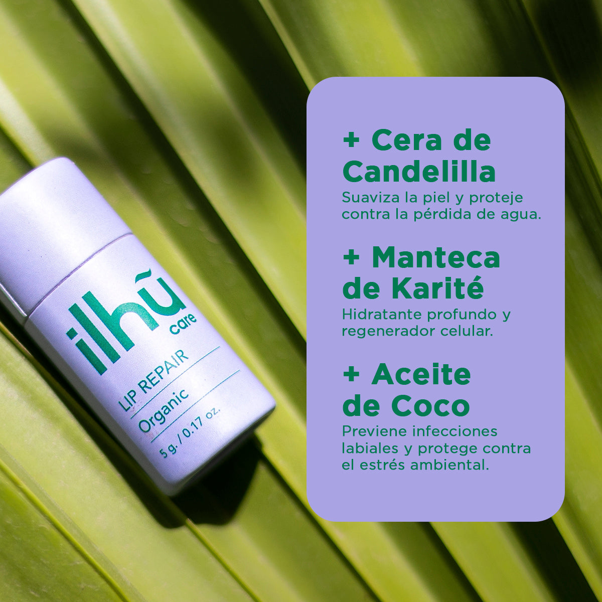 Lip Repair